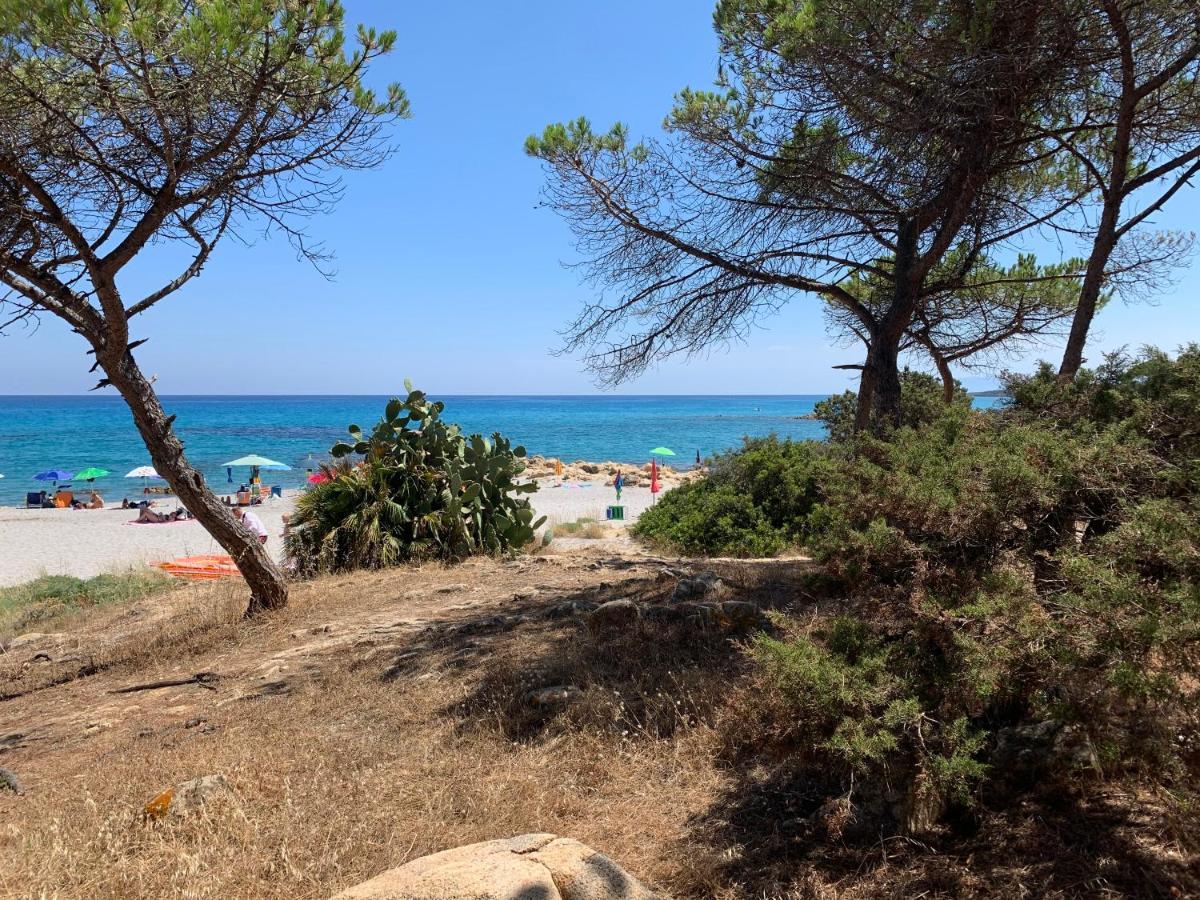 Sa Domu E Muru Galtellì Dış mekan fotoğraf
