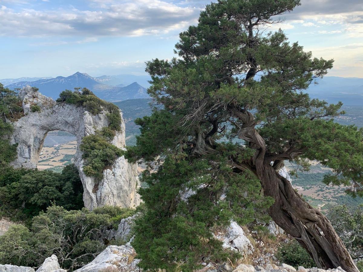 Sa Domu E Muru Galtellì Dış mekan fotoğraf