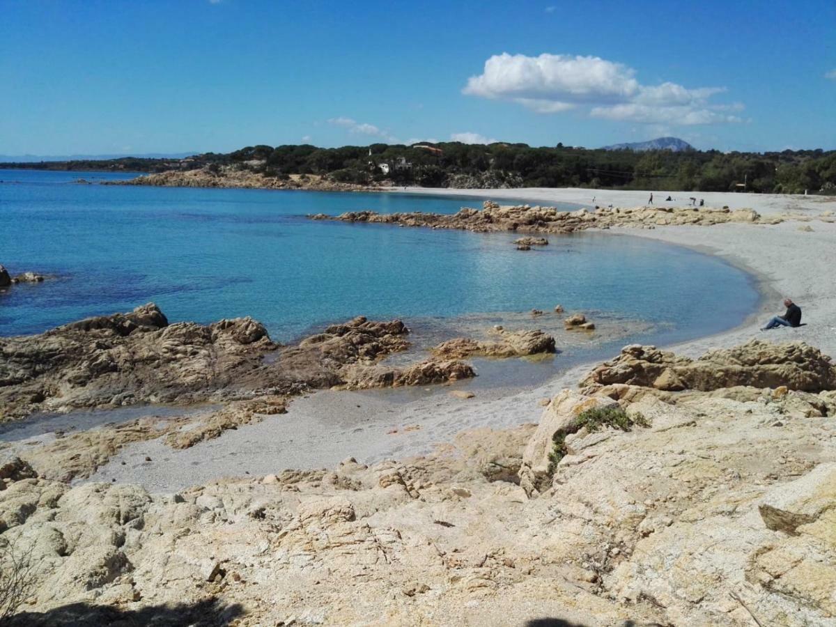 Sa Domu E Muru Galtellì Dış mekan fotoğraf